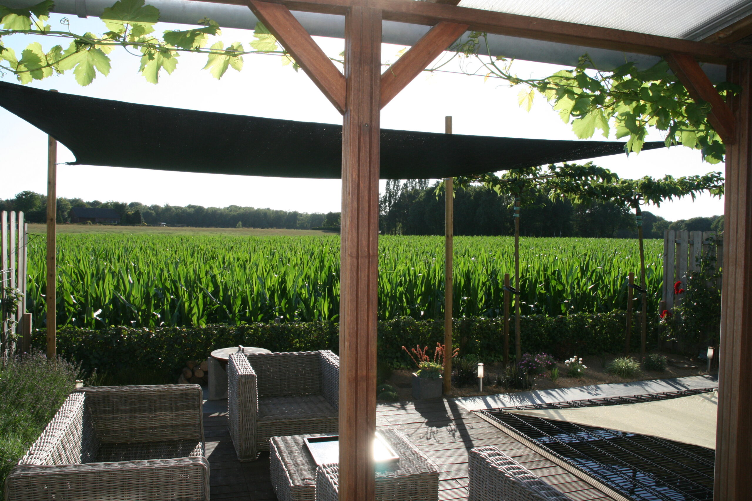 rechthoekzwart 3×4 mtr. rechthoek schaduwdoek